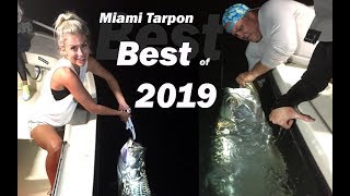 Best of 2019 Miami Tarpon Fishing, Snook, Marlin Sailfish and sharks