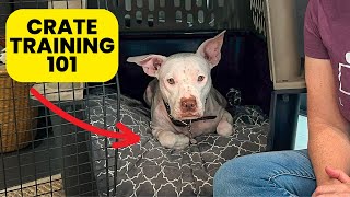 The Ultimate Crate Training Guide: Crate Train Your Dog Quickly!