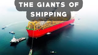 THE BIGGEST SHIPS In The World | The giants of shipping !