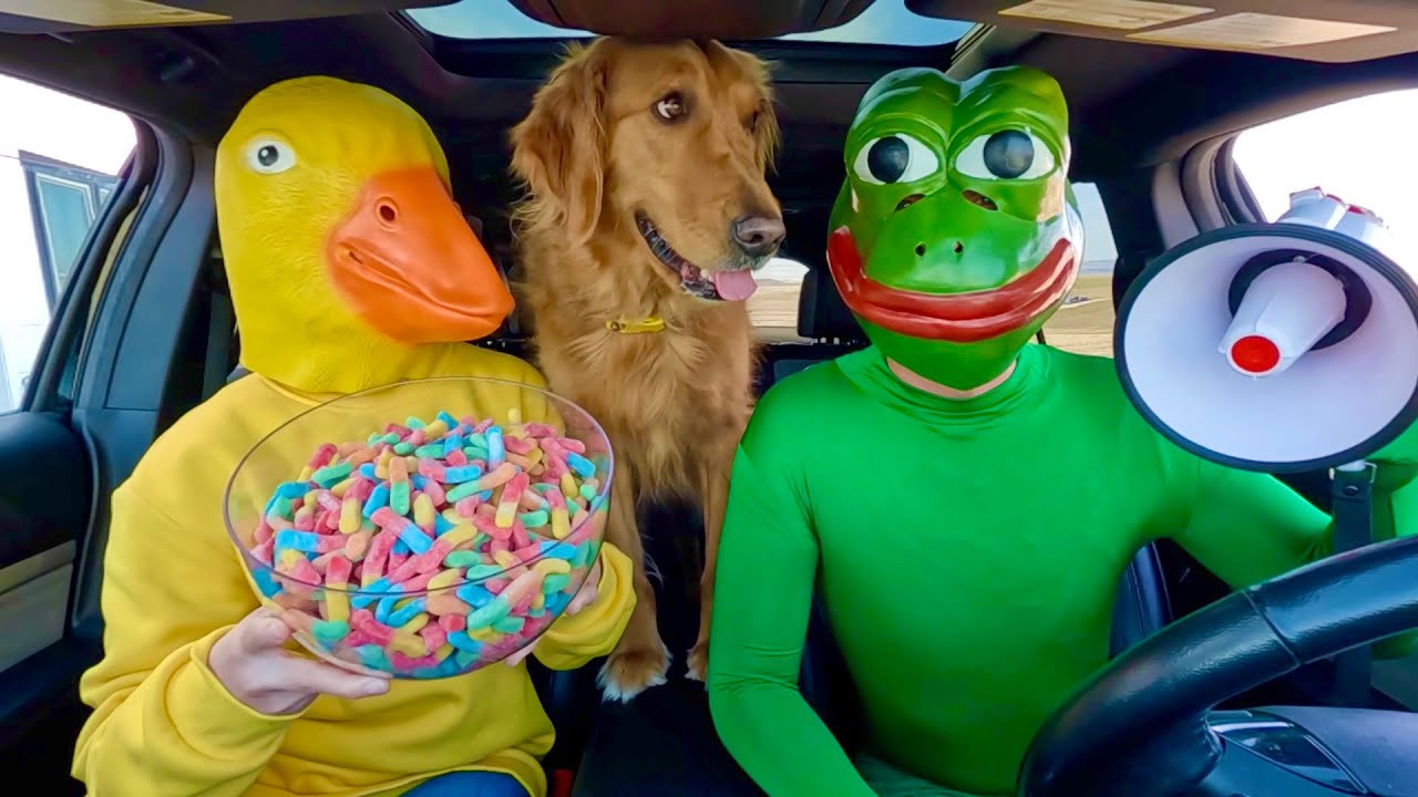 Резиновая уточка удивляет лягушку и щенка погоней на машине