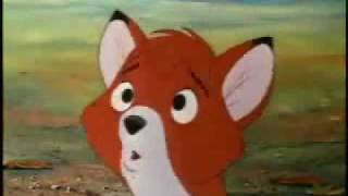 Fox and the Hound~Lack of Education