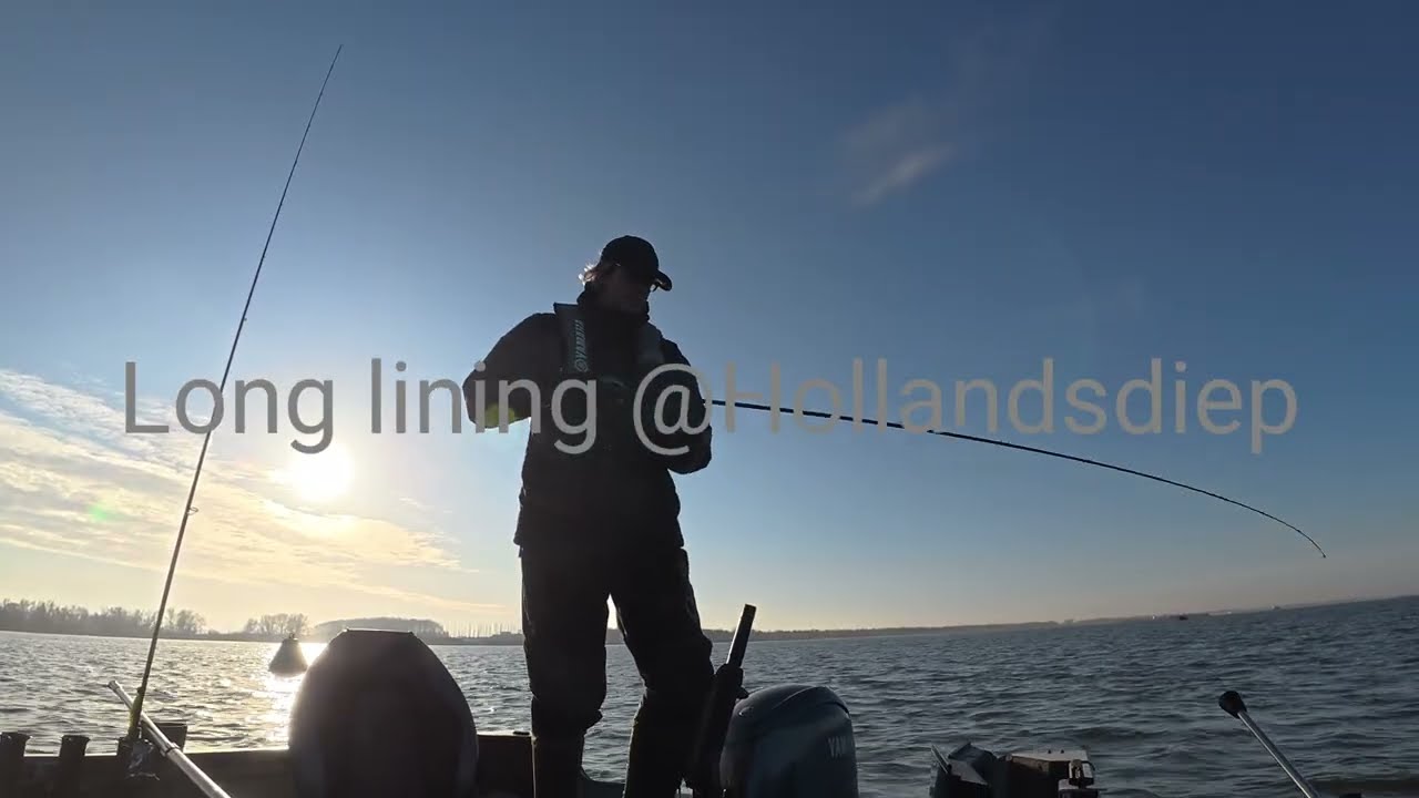 Zander strike on a long line