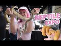 1000s of reptiles at this expo narbc tinley park march 2024