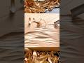The Process of Carving Wood to Create Detailed and Artistic Motifs #shorts
