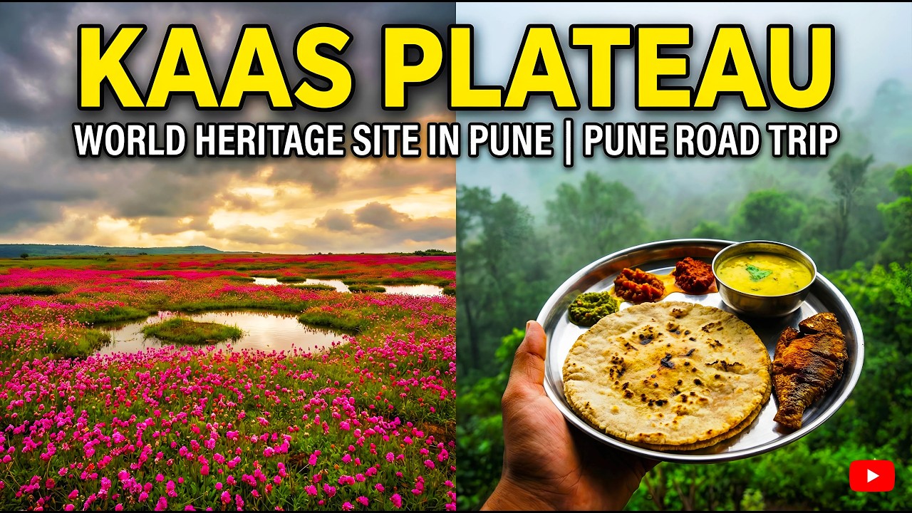 Unexplored 🤯 GEM Of महाराष्ट्र : KAAS PLATEAU | Valley of Flowers & UNESCO World Heritage Site🚦