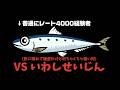 【レート4000到達者対決】ゆうくん VS いわしせいじん　50先　【ぷよぷよテトリス２/Puyopuyotetris2】