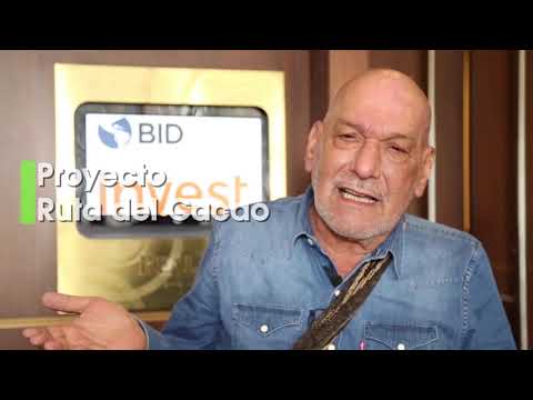 ¿Qué tipo de desarrollo está financiando el Banco Interamericano de Desarrollo- BID? 3 ¿Qué tipo de desarrollo está financiando el Banco Interamericano de Desarrollo- BID?