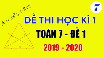 Đề thi học kì 1 Toán 7 2019-2020 đề 1