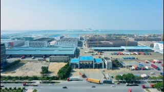 How RCEP benefits foreign trade enterprises in China's Guangzhou