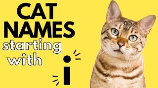 50+ Cat Names Starting With 'I' | Boy and Girl Cat Names | I Cat Names by Dog and Cat Names 268 views 1 year ago 6 minutes, 31 seconds