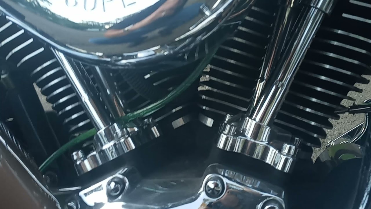 Chirping noises from inside Harley Davidson Big Twin Engine - YouTube