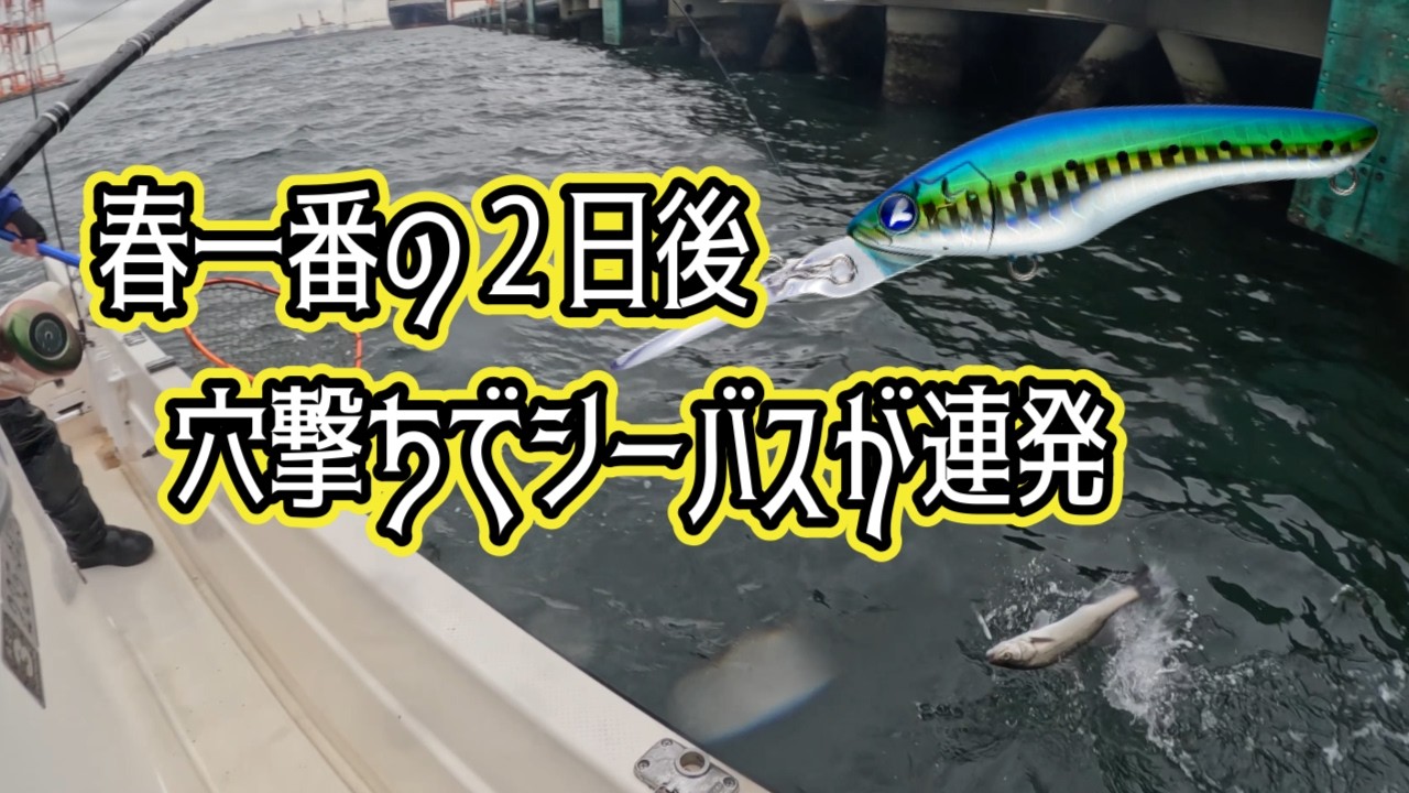 クミホンディープの穴撃ちでシーバスが連発