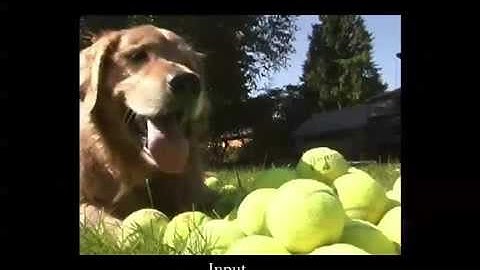 Temporally Coherent and Spatially Accurate Video Matting