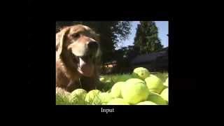 Temporally Coherent and Spatially Accurate Video Matting