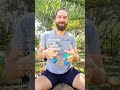 10 ritmos latinoamericanos con ASALATOS #tutorials