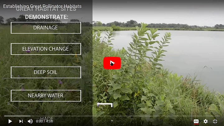 Native Plants for MO Pollinators - Debbie Finke