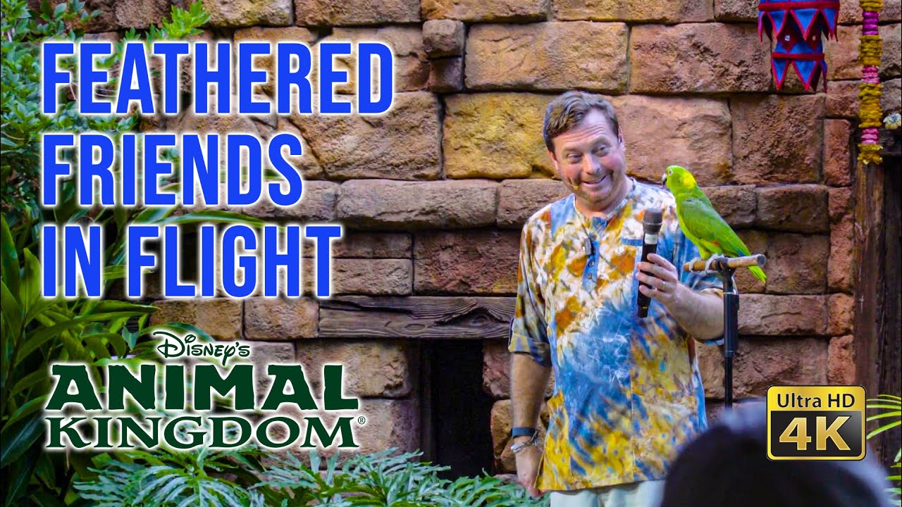 Feathered Friends in Flight Full Show 4K Disney's Animal Kingdom Walt