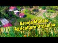 GRANJA MODELO AGRICULTURA ORGÁNICA 1ra. Parte - HDA. TIERRA DULCE