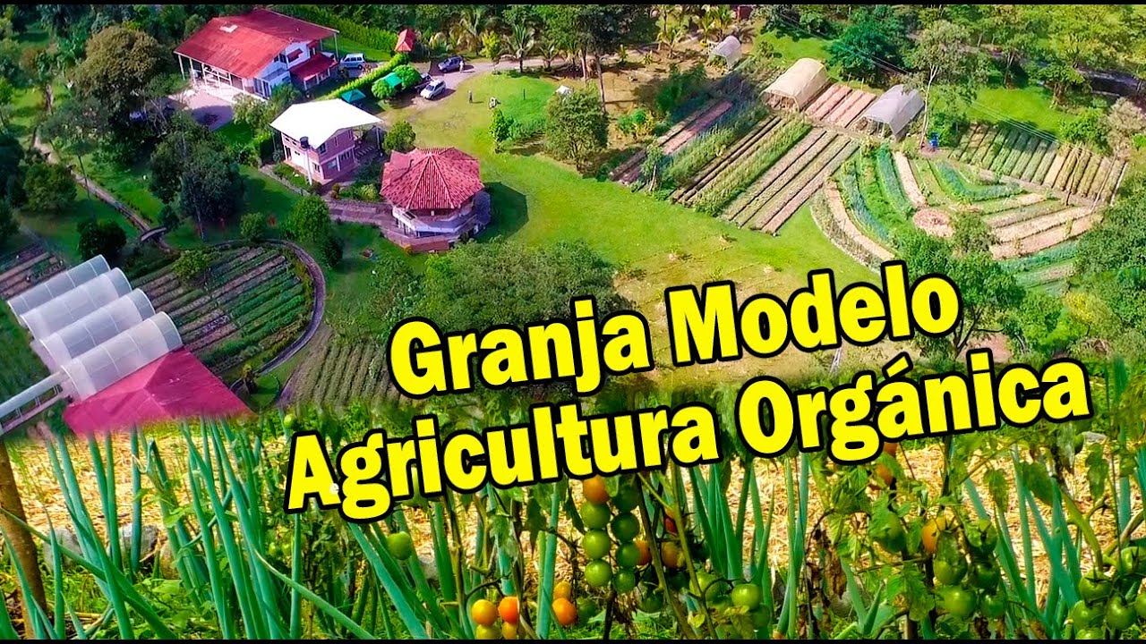 GRANJA MODELO AGRICULTURA ORGÁNICA 1ra. Parte - HDA. TIERRA DULCE