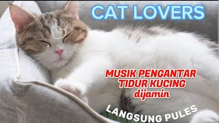 MUSIK PENGANTAR TIDUR KUCING