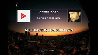 Ahmet Kaya - Herkes Kendi İşine (Sözleri) | 4K Resimi