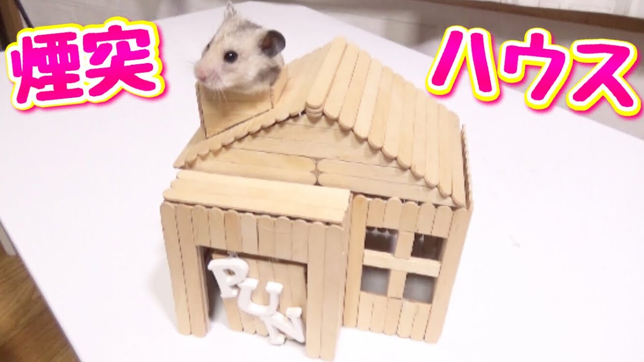 アイス棒だけで作る ハムスターの覗ける煙突付きハウス Diy Youtube