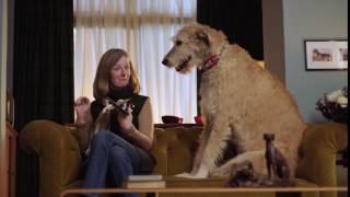 Auto Trader TV advert 2016 – Dealer Reviews screenshot 5