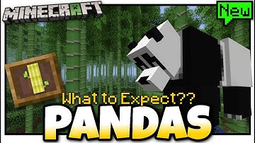 Minecraft - PANDAS - What to Expect? New Items or Drop ? Bedrock / Console / Java