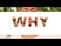 Why - Sha Sha x Dj Maphorisa x Kabza de Small type beat I Amapiano type beat 2020 I (prod.  FIBBS)