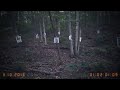 6 Most Disturbing Forest Findings Caught on Camera