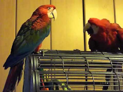 1er rencontre