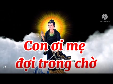 Video Rèn tâm giữa đạo sắc son - Không tranh cao thấp nhà... - youtube