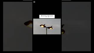 To live with minimal things is a fascinating #selfawareness #simpleliving #beminimalist