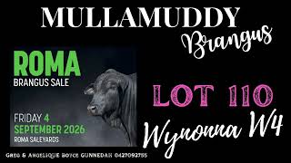 Wynonna W4 Lot 110