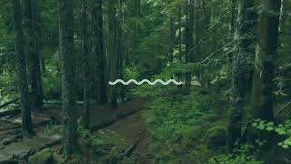 Reece Marshburn - Sun Salutation