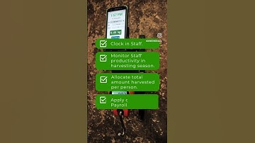 Bluetooth Smart Scale - Crane Scale