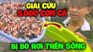 Vlog | Quý11N Giải Cứu 5.000 Con Cá Đáng Thương , Bị Bỏ Rơi Trên Sông ?