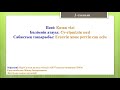 3-сынып.Қазак тілі. 112-сабақ. Есептік және реттік сан есім.