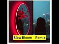 Slow Bloom Remix/tuna-27