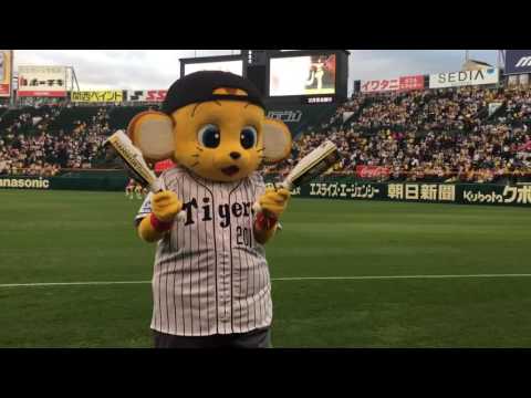 9/8 タイガースガールズ ダンスの時のキー太