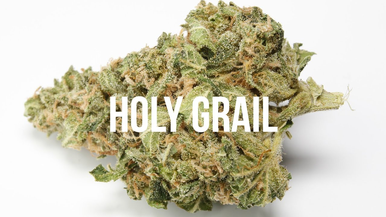 Holy Grail strain review - International Highlife