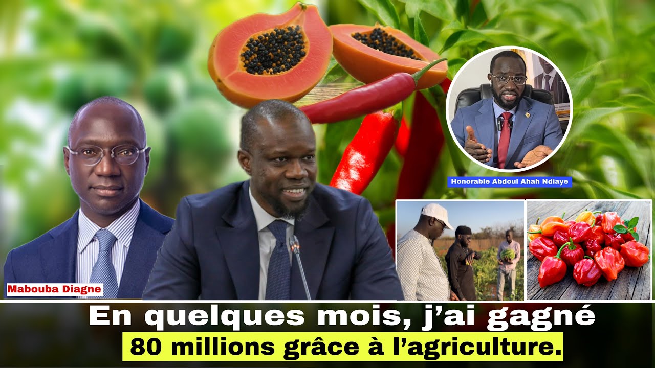 Regardez Ndam Li Ousmane Sonko am ak Diomaye Faye 😊 - Agriculture bi Dokh na… (Visite Terragrisen)