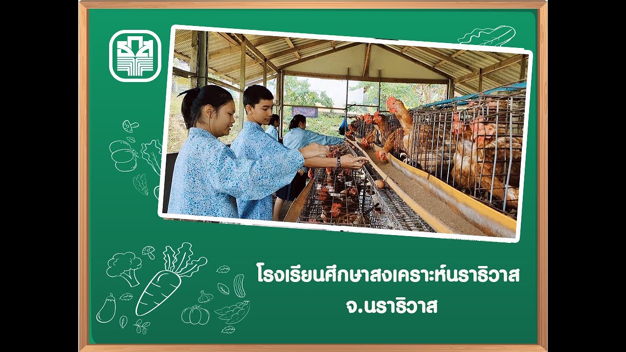 โรงเรียนศึกษาสงเคราะห์ จ.นราธิวาส