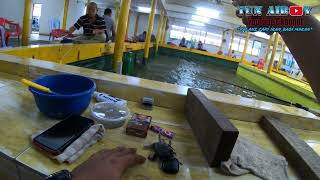 V#-26 | MANCING UDANG HARIMAU | ADA YG RINDU AKU KE? 😜 | MENCARI HIBURAN HARI MINGGU | #fishon