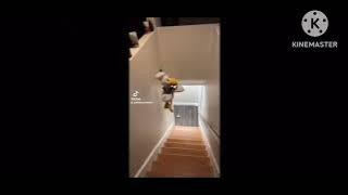 all donald ducc demon screams