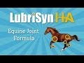 Lubrisyn  equine formula at the apha general store