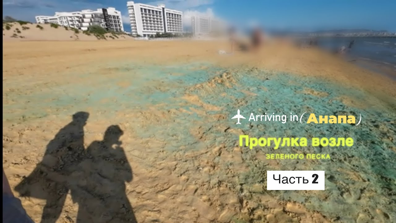 walking YouTube walking-youtube