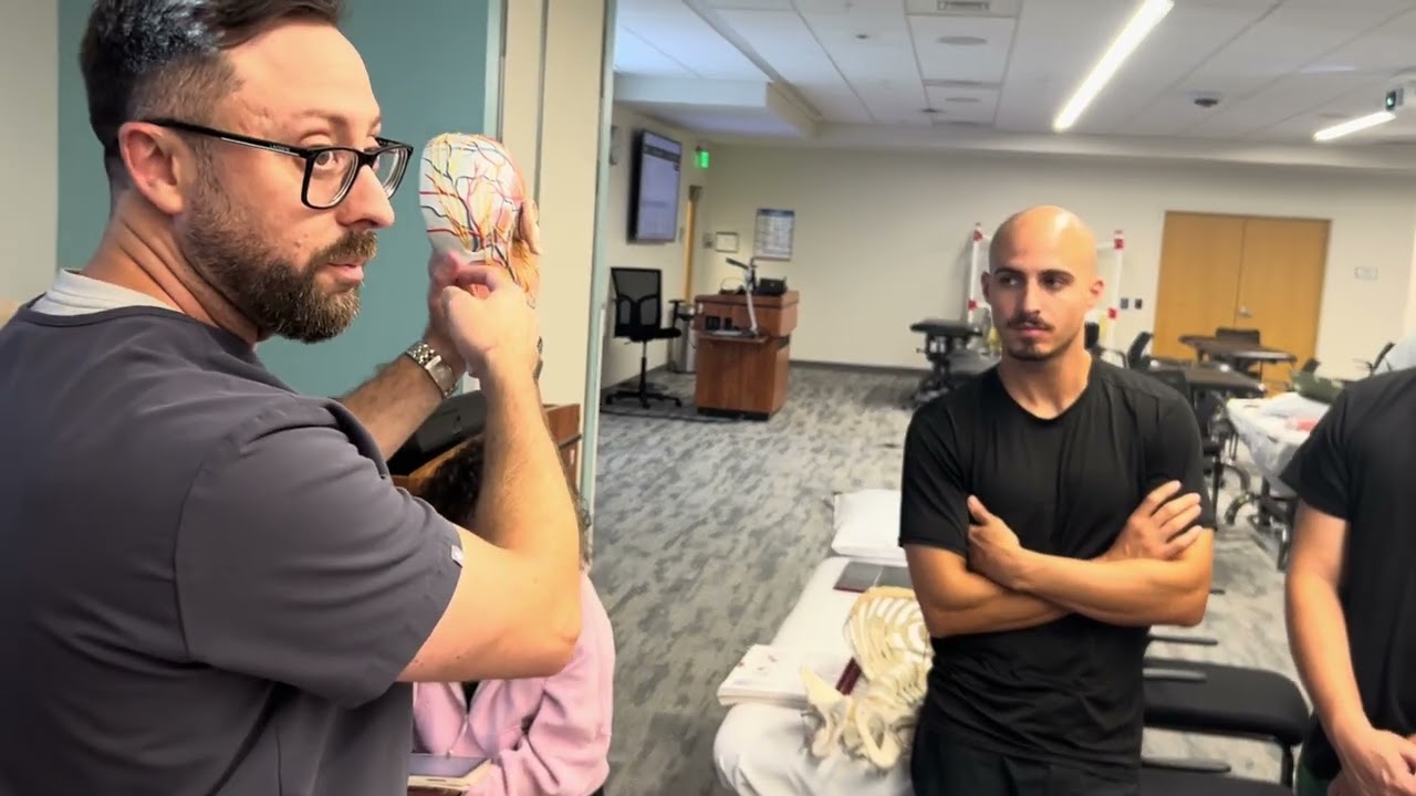 Neck Musculature Palpation Techniques