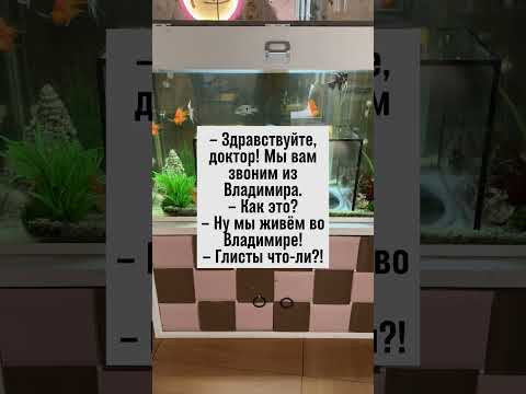 Лечим по телефону: звонок из Владимира! #юмор #анекдоты