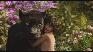 「ジャングル・ブック」MovieNEX 予告編